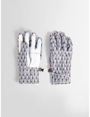 GLACIER W PRINT GLOVES acheter